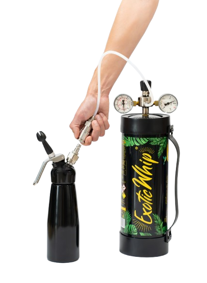 Buy Exotic Whip Pressure Regulator In France